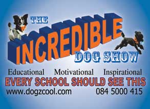 THE&nbsp; &nbsp;&nbsp;&nbsp;INCREDIBLE&nbsp; &nbsp;&nbsp;&nbsp;DOG&nbsp;&nbsp;&nbsp;SHOW