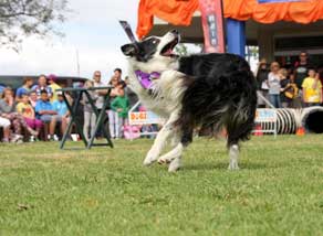 ENTERTAINING&nbsp;&nbsp;&nbsp;&nbsp;INTERACTIVE&nbsp; &nbsp;&nbsp;&nbsp;FUN