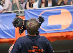 PRE-PRIMARY&nbsp; &nbsp;&nbsp;&nbsp;PRIMARY&nbsp; &nbsp;&nbsp;&nbsp;HIGH